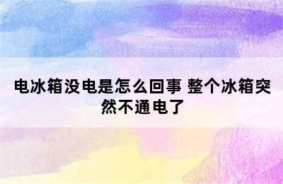 电冰箱没电是怎么回事 整个冰箱突然不通电了